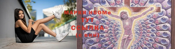 гидра Гусиноозёрск