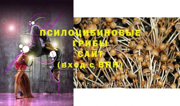 MDMA Гусев