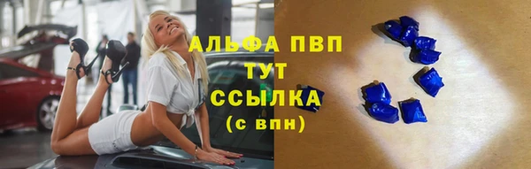 гидра Гусиноозёрск