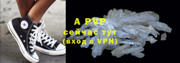 гидра Гусиноозёрск