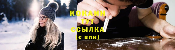 мяу мяу мука Гусь-Хрустальный