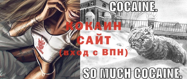 мяу мяу мука Гусь-Хрустальный
