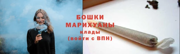 гидра Гусиноозёрск