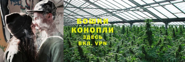 гидра Гусиноозёрск
