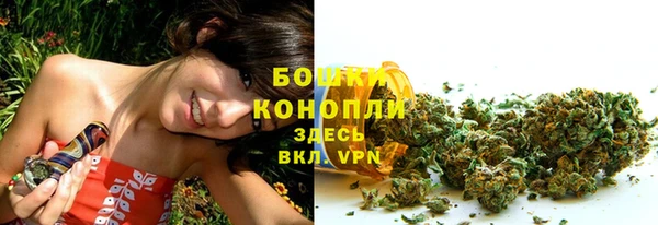 мяу мяу мука Гусь-Хрустальный