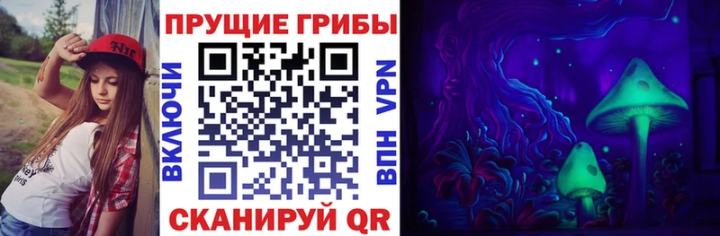Псилоцибиновые грибы мицелий  Купить  Переславль-Залесский 
